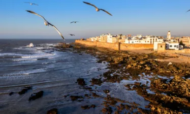 Day Trip to Essaouira From Marrakech