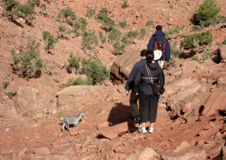 real-morocco-tours-travel-info